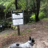 Review photo of Dogwood Campground — O'Leno State Park by Shelly S., July 29, 2018