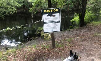 Shelly S.'s photo of camping with pets at Dogwood Campground — O'Leno State Park near Osceola National Forest