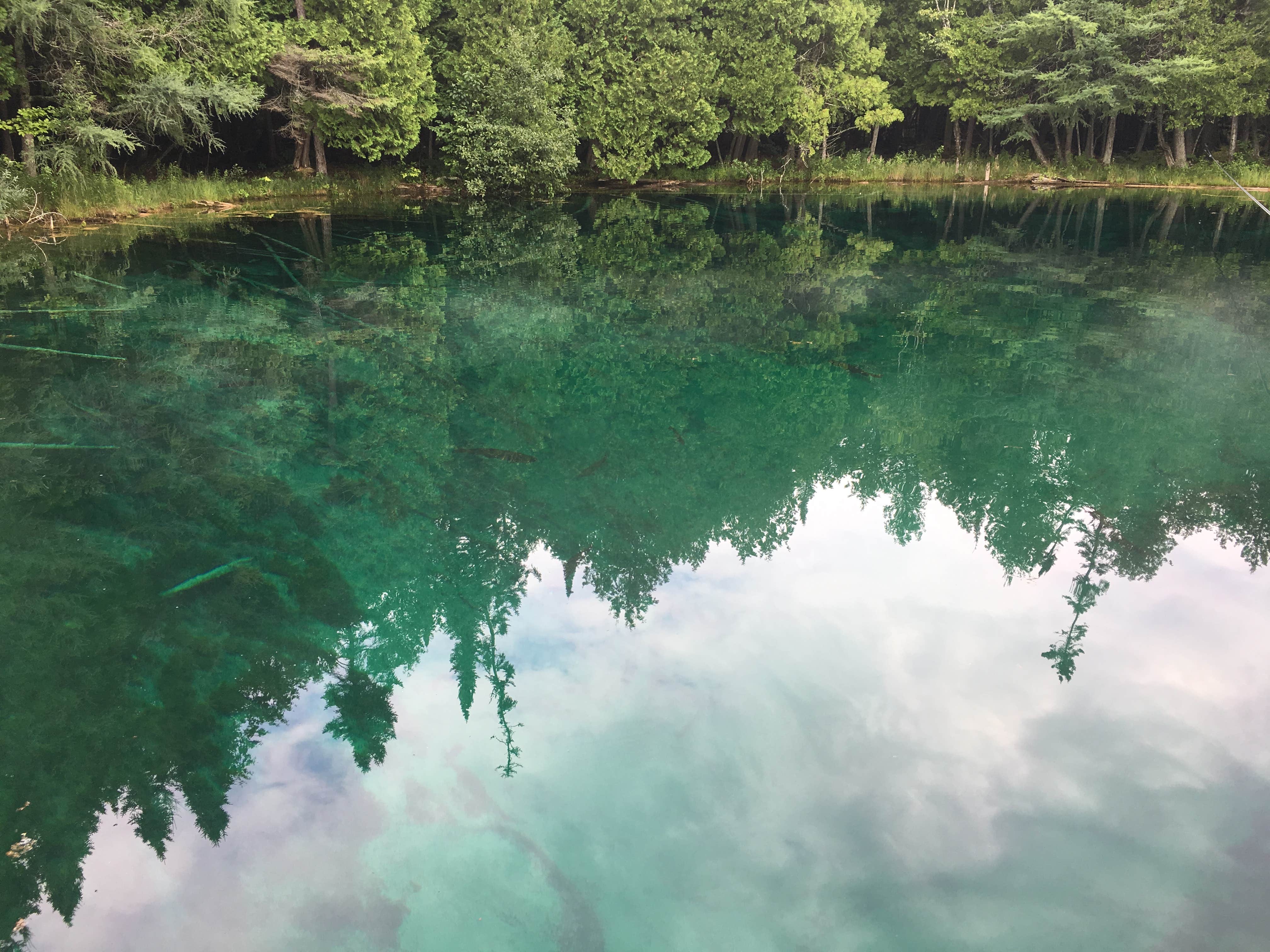 Camper submitted image from Indian Lake State Park South Campground — Indian Lake State Park - 5
