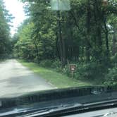 Review photo of Dogwood Campground — O'Leno State Park by Shelly S., July 29, 2018