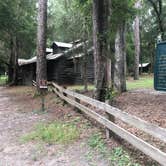 Review photo of Dogwood Campground — O'Leno State Park by Shelly S., July 29, 2018