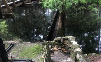 Shelly S.'s photo of camping with pets at Dogwood Campground — O'Leno State Park near Osceola National Forest