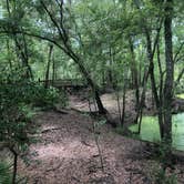 Review photo of Dogwood Campground — O'Leno State Park by Shelly S., July 29, 2018