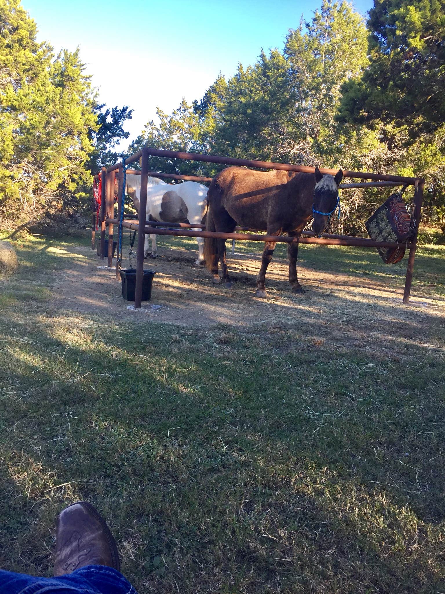 Camper submitted image from Trailhead Equestrian Campground — Hill Country State Natural Area - 3
