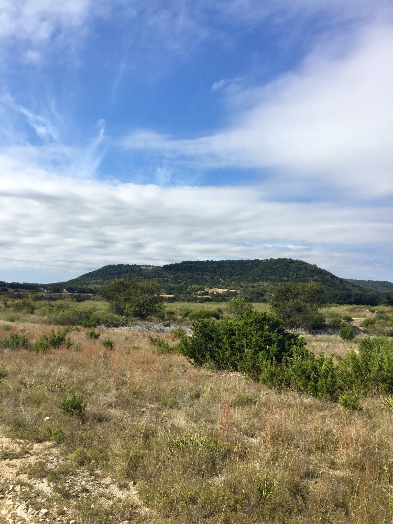 Camper submitted image from Hill Country State Natural Area - 2