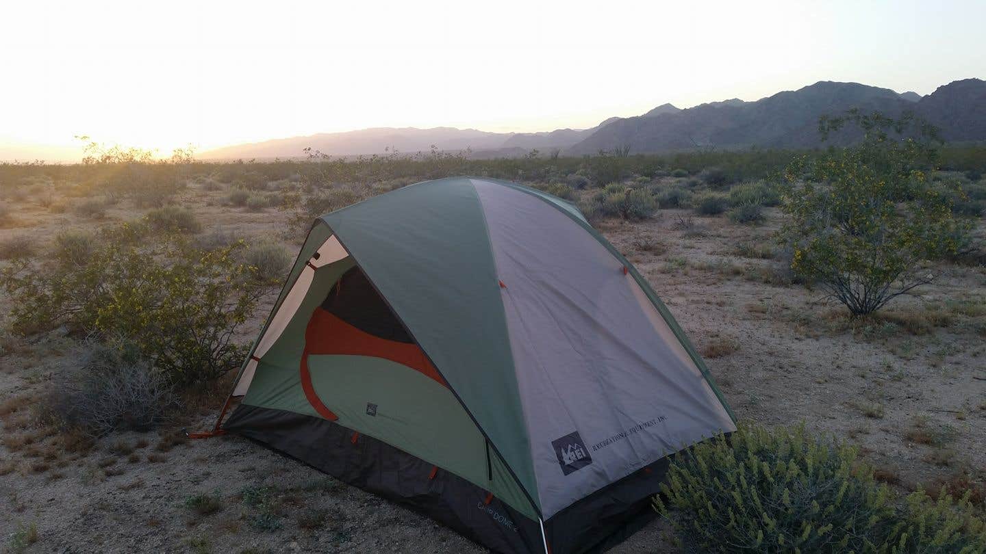 Camper submitted image from Chiriaco Summit Dry Camp Area - 3