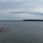 Review photo of Peninsula State Park Campground — Peninsula State Park by Mary G., July 29, 2018
