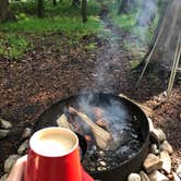 Review photo of North Nicolet Bay - Peninsula State Park by Mary G., July 29, 2018