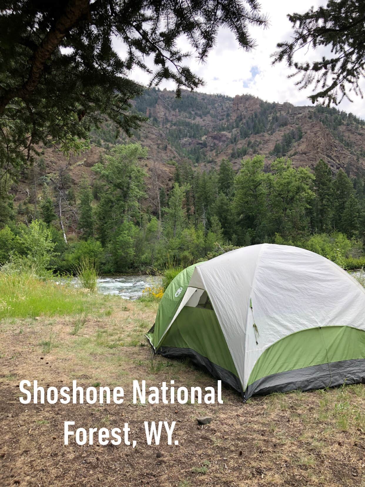 Mary G.'s photo at Clearwater Campground near Wapiti, WY