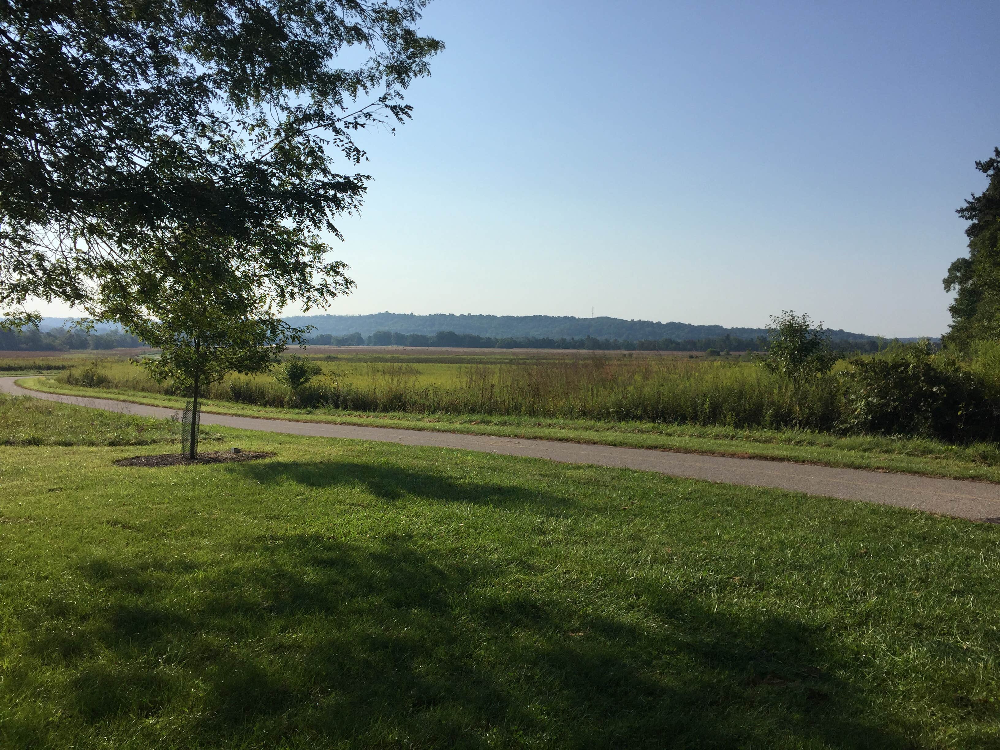 Camper submitted image from Miami Whitewater Forest Campground - 2