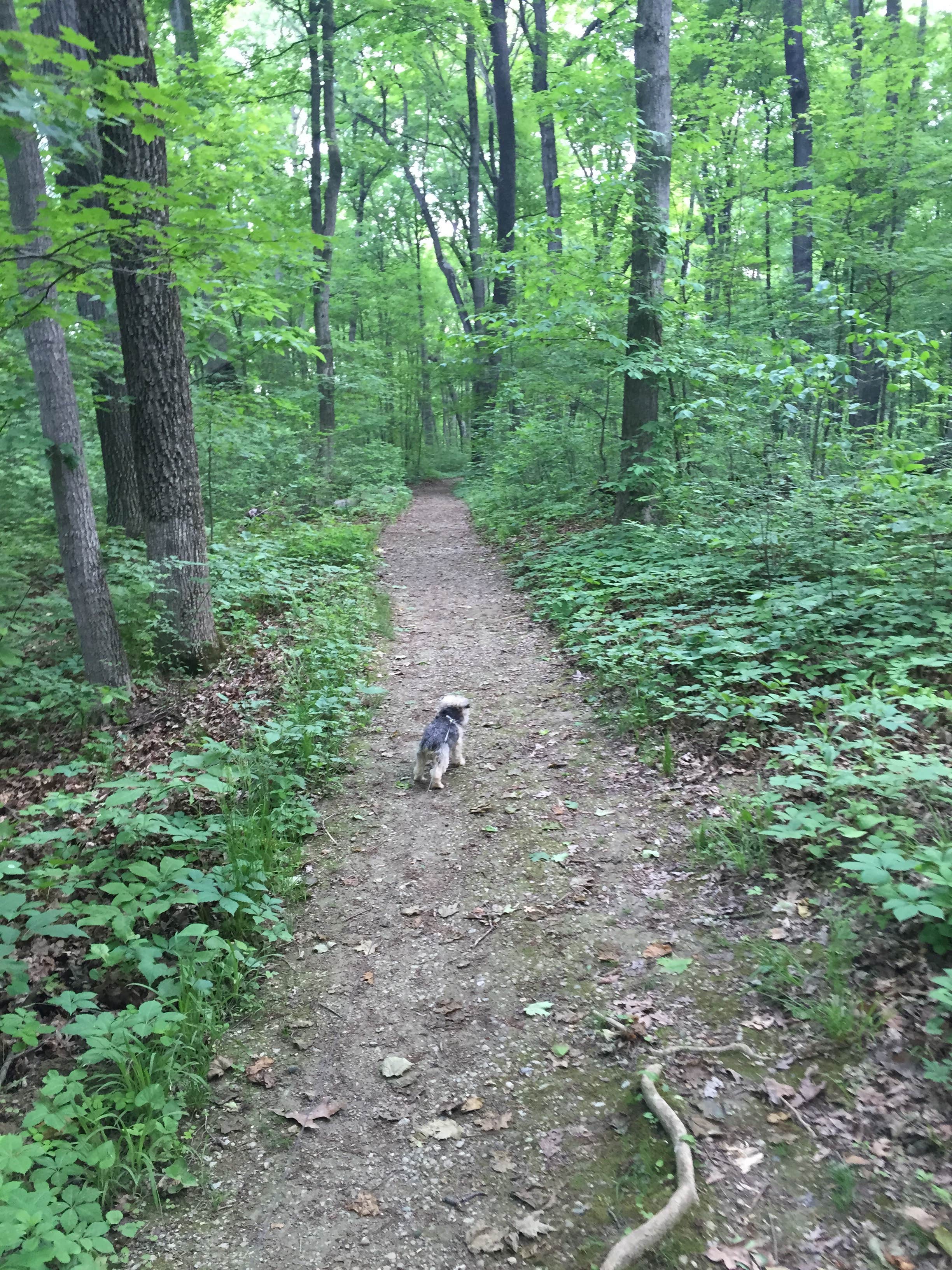 Camper-submitted photo at Miami Whitewater Forest Campground near West Fork of Mill Creek Lake
