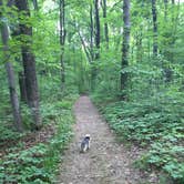 Review photo of Miami Whitewater Forest Campground by John M., July 29, 2018