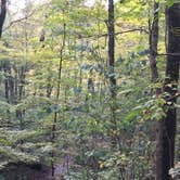 Review photo of Miami Whitewater Forest Campground by John M., July 29, 2018