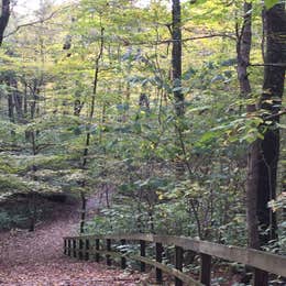 Miami Whitewater Forest Campground