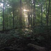 Review photo of Miami Whitewater Forest Campground by John M., July 29, 2018