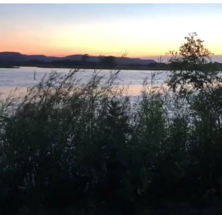 Camper-submitted photo at Goose Island near La Crosse, WI