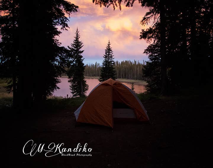 Melissa K.'s photo at Crag Crest Campground near Collbran, CO