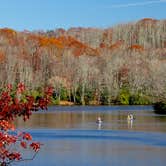 Review photo of Julian Price Park Campground — Blue Ridge Parkway by Meg  S., July 1, 2015