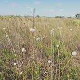 Review photo of Kilpatrick Hammock Campground — Kissimmee Prairie Preserve State Park by Jessica S., July 29, 2018