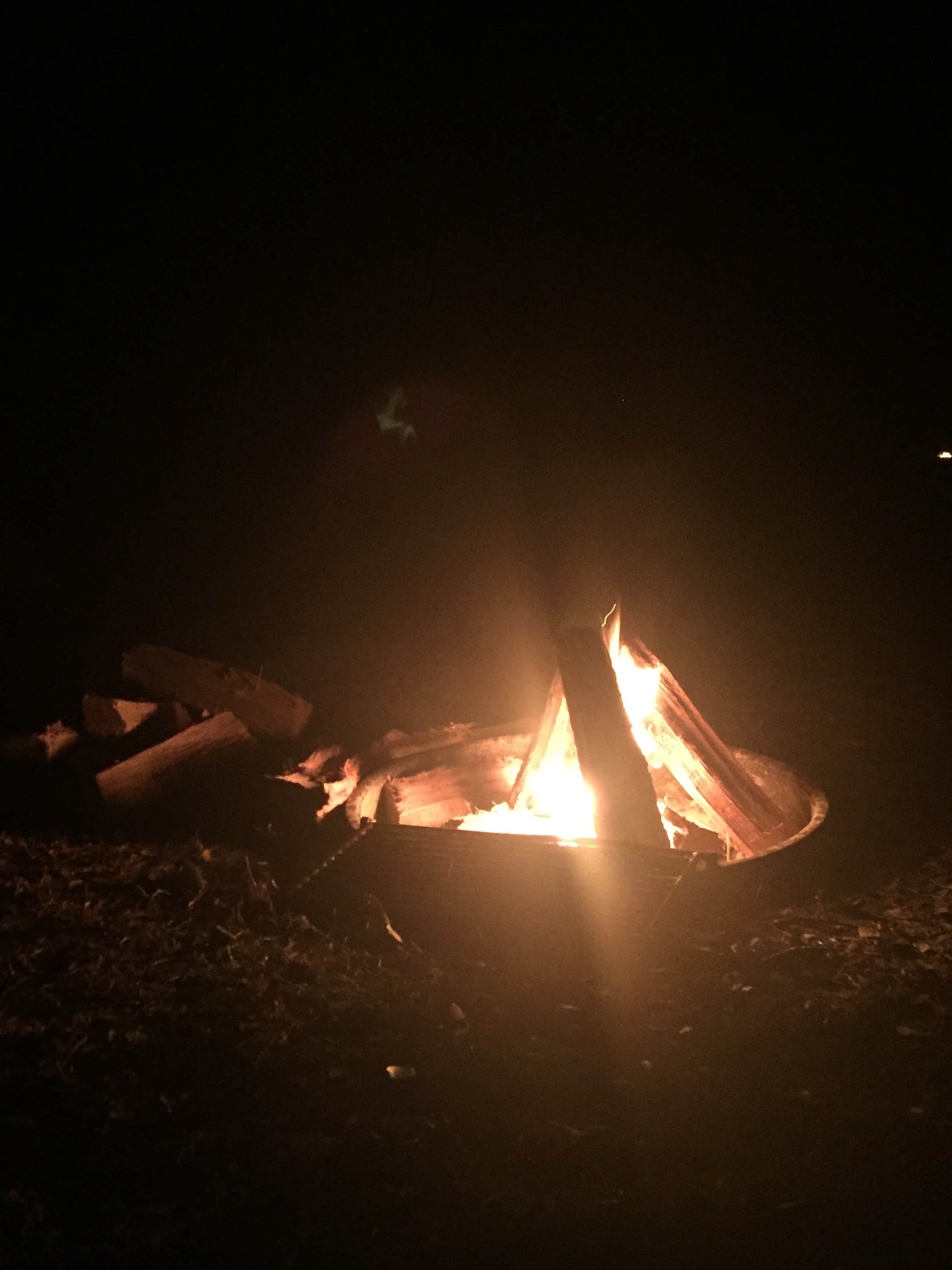 Jessica S.'s photo at Kilpatrick Hammock Campground — Kissimmee Prairie Preserve State Park near Sebastian, FL