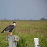 Review photo of Kilpatrick Hammock Campground — Kissimmee Prairie Preserve State Park by Jessica S., July 29, 2018