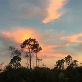Review photo of Highlands Hammock State Park Campground by Jessica S., July 29, 2018