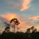 Review photo of Highlands Hammock State Park Campground by Jessica S., July 29, 2018
