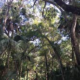 Review photo of Highlands Hammock State Park Campground by Jessica S., July 29, 2018