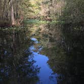 Review photo of Highlands Hammock State Park Campground by Jessica S., July 29, 2018