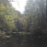 Review photo of Highlands Hammock State Park Campground by Jessica S., July 29, 2018