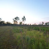 Review photo of Highlands Hammock State Park Campground by Jessica S., July 29, 2018