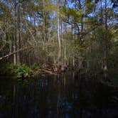 Review photo of Highlands Hammock State Park Campground by Jessica S., July 29, 2018
