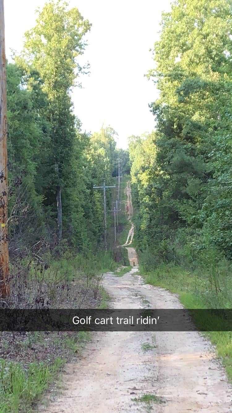 Camper submitted image from Thousand Trails Forest Lake - 3