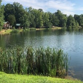 Review photo of Thousand Trails Forest Lake by Brooke S., July 29, 2018