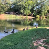 Review photo of Thousand Trails Forest Lake by Brooke S., July 29, 2018