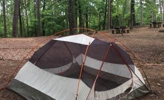 Thad O.'s photo at Lake Catherine State Park Campground near Hensley, AR