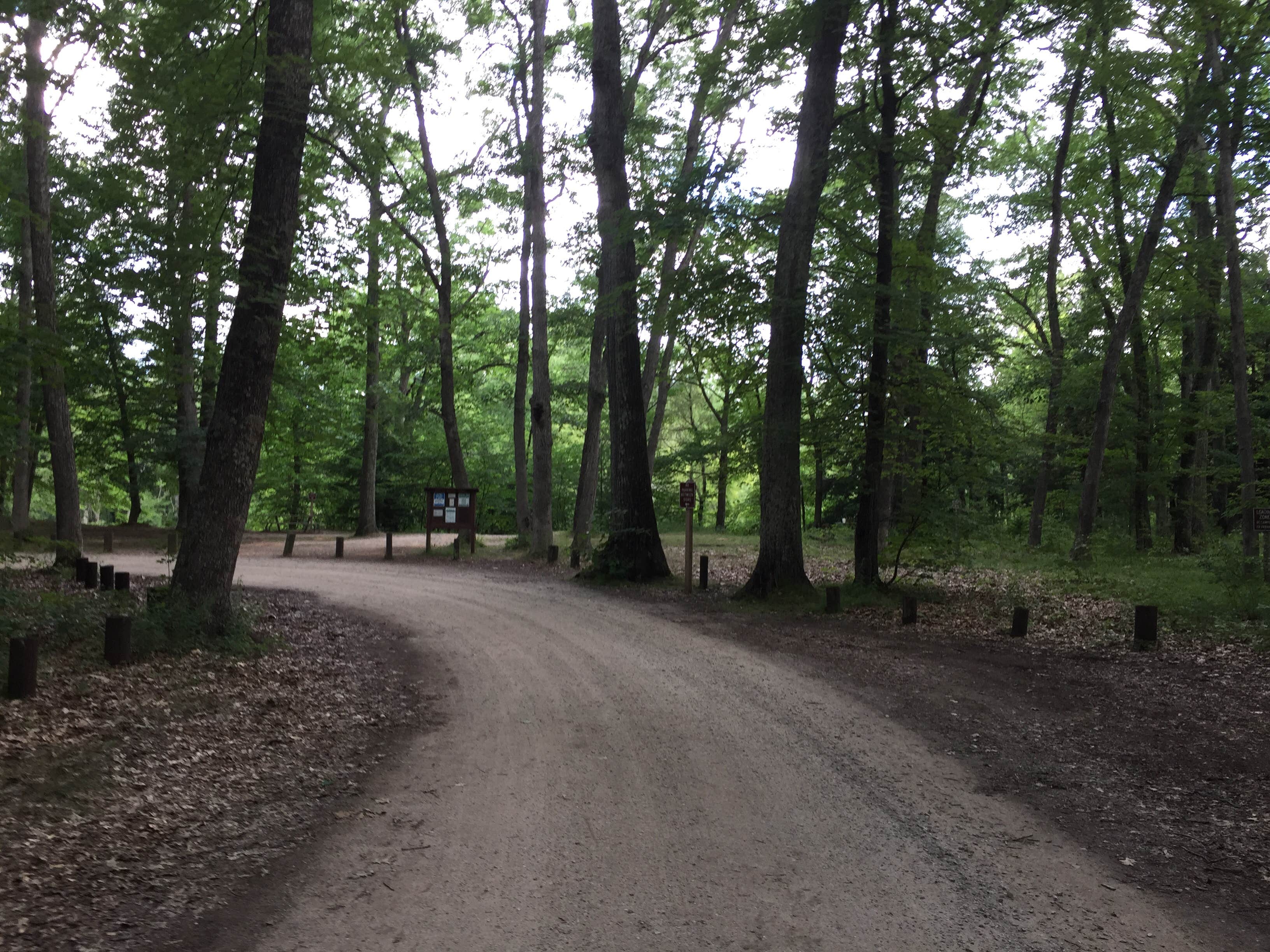 Camper-submitted photo at Diamond Point Campground near Hesperia, MI