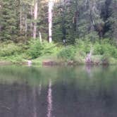 Review photo of Rogue River National Forest North Fork Campground by Deacon J., July 29, 2018