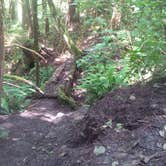 Review photo of Rogue River National Forest North Fork Campground by Deacon J., July 29, 2018