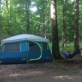 Review photo of Mammoth Cave Campground — Mammoth Cave National Park by Anne H., July 29, 2018