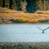 Review photo of Molas Lake Park & Campground by Nicholas V., July 29, 2018