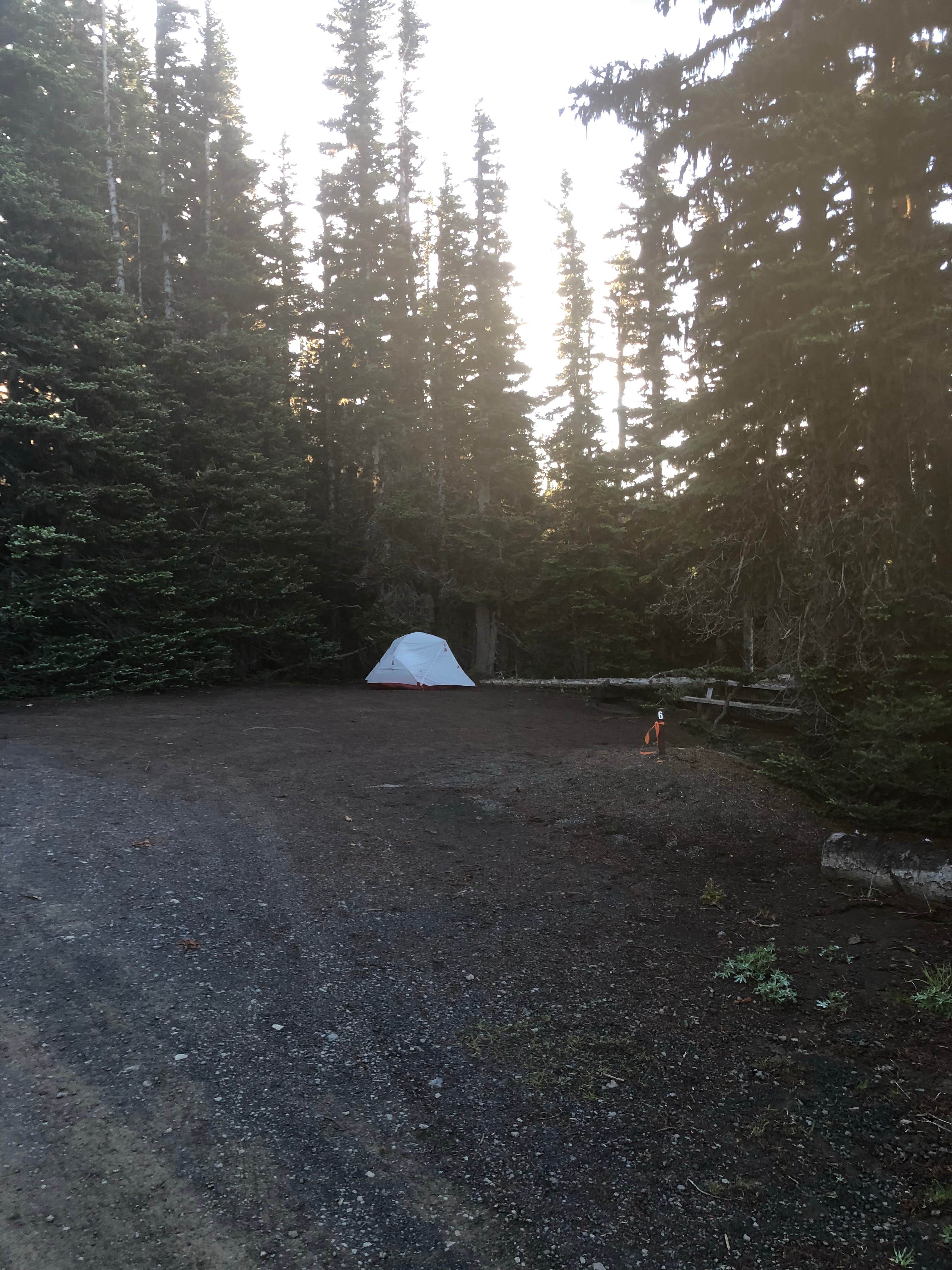 Camper submitted image from Deer Park Campground — Olympic National Park - 5