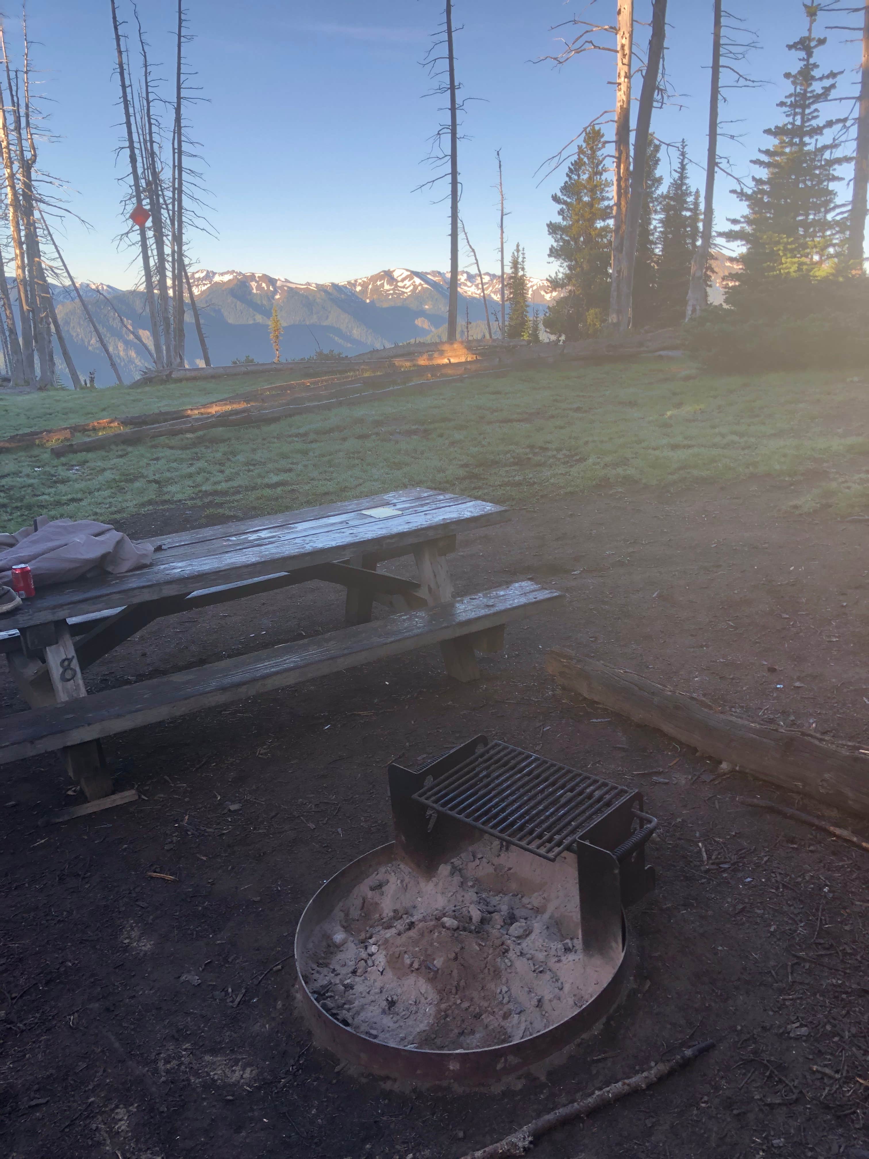 Camper submitted image from Deer Park Campground — Olympic National Park - 3