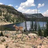 Review photo of Pyramid Lake Dispersed Camping by Jenny R., July 29, 2018