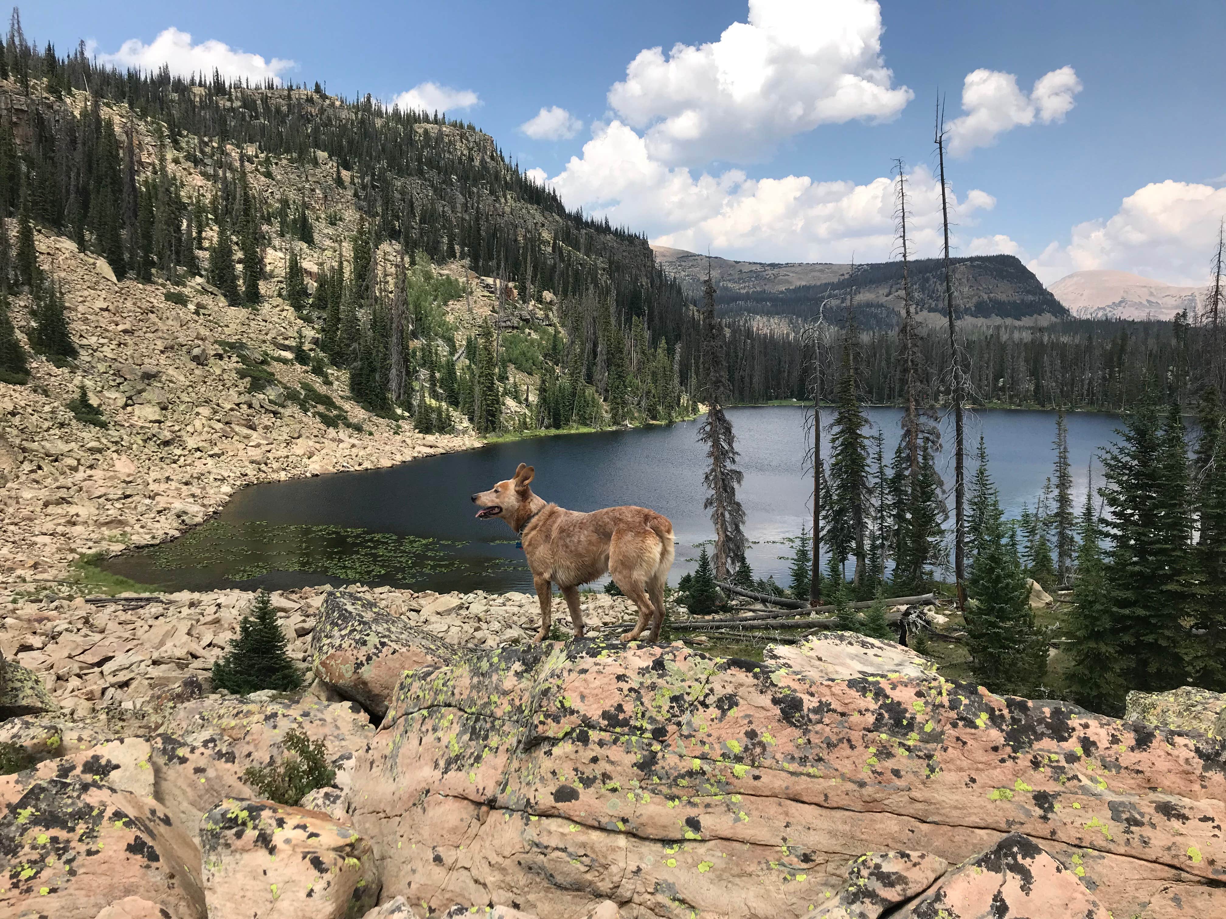 Camper submitted image from Pyramid Lake Dispersed Camping - 5