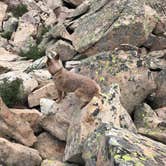 Review photo of Pyramid Lake Dispersed Camping by Jenny R., July 29, 2018