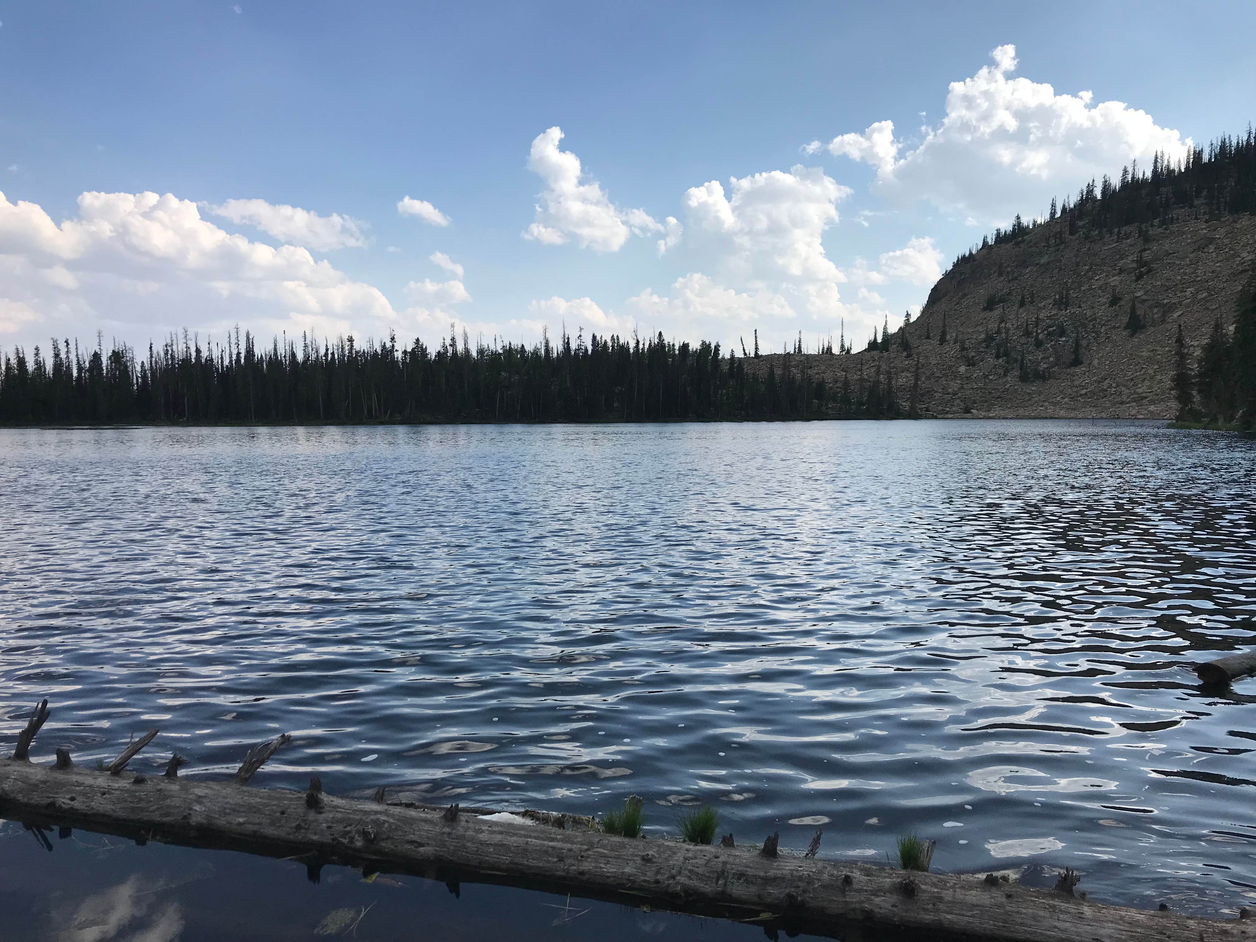 Jenny R.'s photo of a dispersed camping area at Pyramid Lake Dispersed Camping near Duchesne, UT
