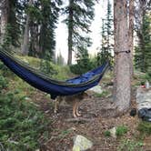 Review photo of Pyramid Lake Dispersed Camping by Jenny R., July 29, 2018