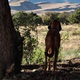Review photo of Pinon Flats Campground — Great Sand Dunes National Park by Abby O., July 29, 2018