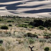 Review photo of Pinon Flats Campground — Great Sand Dunes National Park by Abby O., July 29, 2018